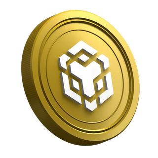 BNB-cryptomunt in de handleiding voor beginnende traders